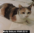 Molly Babura ...1996-2015